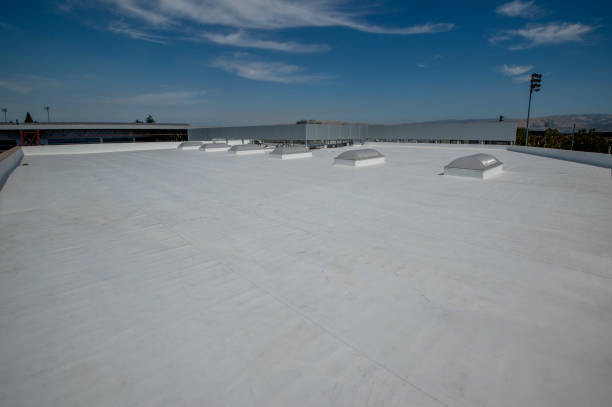 Best Roof Coating and Sealing  in Waialua, HI
