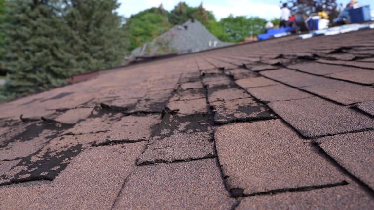 Best Roof Moss and Algae Removal  in Waialua, HI